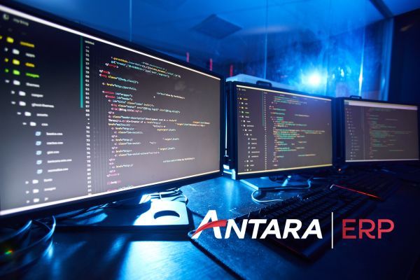 Você sabe quais são os benefícios de utilizar um ERP em um curtume?